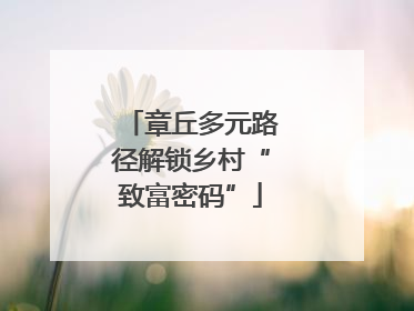 章丘多元路径解锁乡村“致富密码”