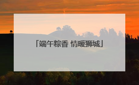 端午粽香 情暖狮城
