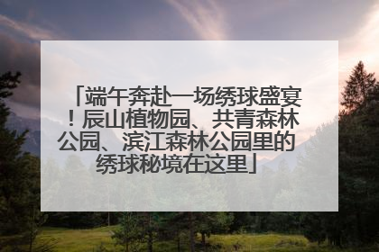 端午奔赴一场绣球盛宴！辰山植物园、共青森林公园、滨江森林公园里的绣球秘境在这里