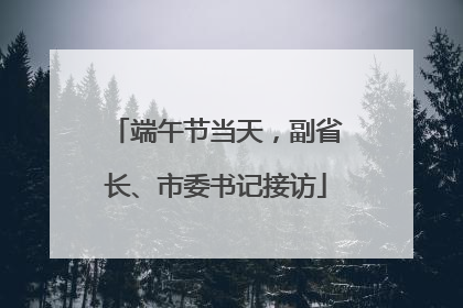 端午节当天，副省长、市委书记接访