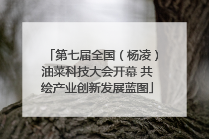 第七届全国（杨凌）油菜科技大会开幕 共绘产业创新发展蓝图