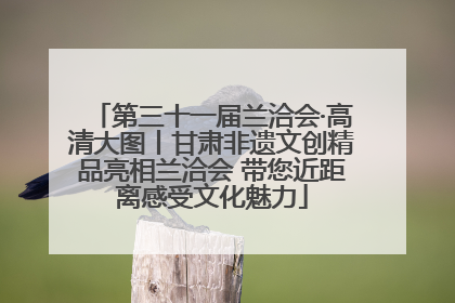 第三十一届兰洽会·高清大图丨甘肃非遗文创精品亮相兰洽会 带您近距离感受文化魅力