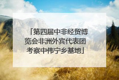 第四届中非经贸博览会非洲外宾代表团考察中伟宁乡基地