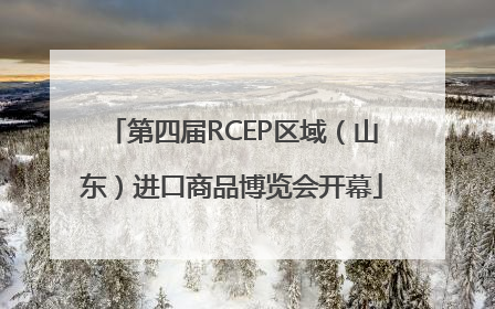 第四届RCEP区域（山东）进口商品博览会开幕