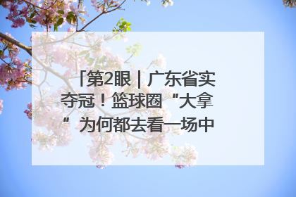 第2眼｜广东省实夺冠！篮球圈“大拿”为何都去看一场中学生比赛？