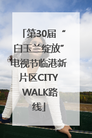 第30届“白玉兰绽放”电视节临港新片区CITY WALK路线