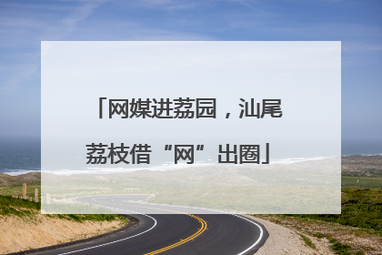 网媒进荔园，汕尾荔枝借“网”出圈