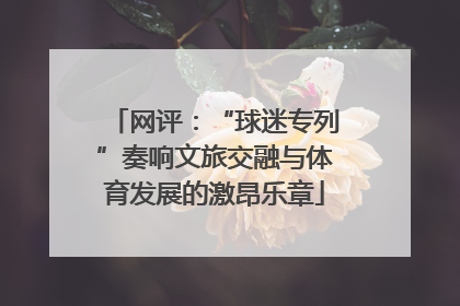 网评：“球迷专列”奏响文旅交融与体育发展的激昂乐章