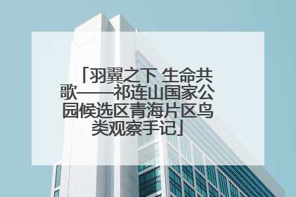 羽翼之下 生命共歌——祁连山国家公园候选区青海片区鸟类观察手记
