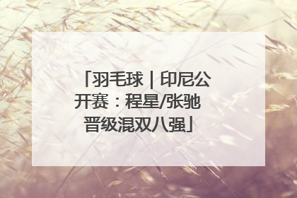 羽毛球｜印尼公开赛：程星/张驰晋级混双八强