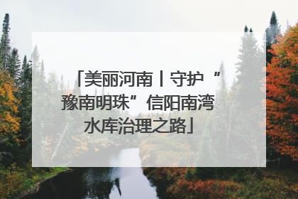 美丽河南丨守护“豫南明珠”信阳南湾水库治理之路