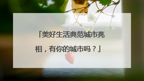 美好生活典范城市亮相，有你的城市吗？