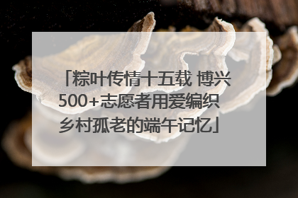 粽叶传情十五载 博兴500+志愿者用爱编织乡村孤老的端午记忆