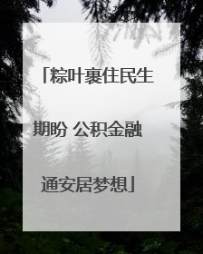 粽叶裹住民生期盼 公积金融通安居梦想