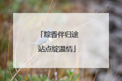 粽香伴归途 站点绽温情
