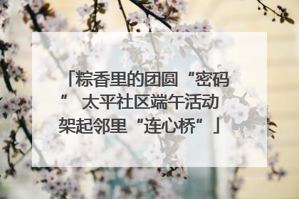 粽香里的团圆“密码” 太平社区端午活动架起邻里“连心桥”