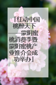 红动中国 桃醉天下——蒙阴蜜桃消费季暨蒙阴蜜桃产业推介会成功举办
