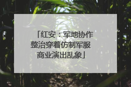 红安：军地协作整治穿着仿制军服商业演出乱象