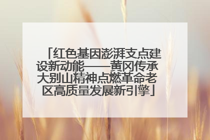 红色基因澎湃支点建设新动能——黄冈传承大别山精神点燃革命老区高质量发展新引擎