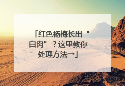 红色杨梅长出“白肉”？这里教你处理方法→