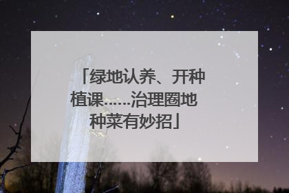 绿地认养、开种植课……治理圈地种菜有妙招