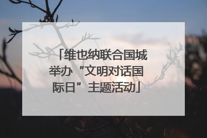 维也纳联合国城举办“文明对话国际日”主题活动