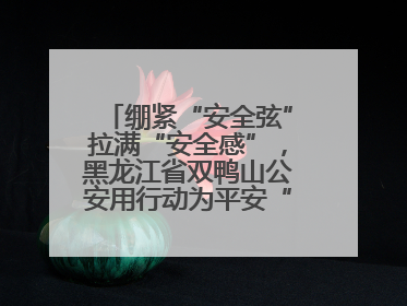 绷紧“安全弦”拉满“安全感”，黑龙江省双鸭山公安用行动为平安“加码”