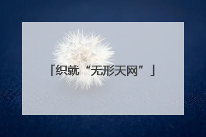 织就“无形天网”