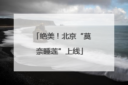 绝美！北京“莫奈睡莲”上线