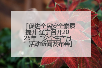 促进全民安全素质提升 辽宁召开2025年“安全生产月”活动新闻发布会