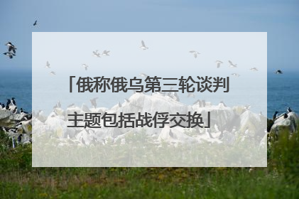 俄称俄乌第三轮谈判主题包括战俘交换