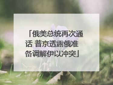俄美总统再次通话 普京透露俄准备调解伊以冲突