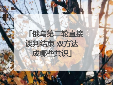 俄乌第二轮直接谈判结束 双方达成哪些共识