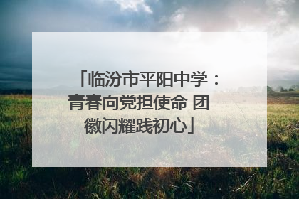 临汾市平阳中学：青春向党担使命 团徽闪耀践初心