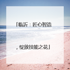 临沂：匠心智造，绽放技能之花