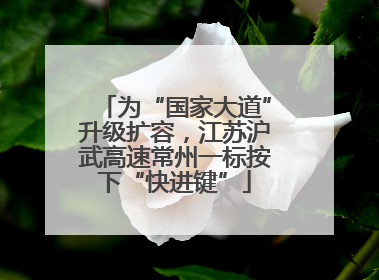 为“国家大道”升级扩容，江苏沪武高速常州一标按下“快进键”
