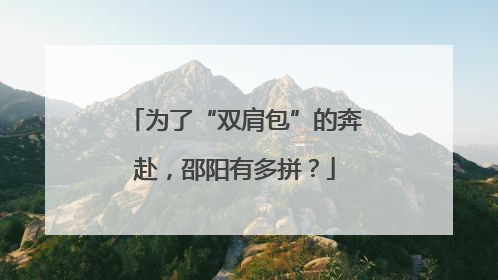 为了“双肩包”的奔赴，邵阳有多拼？