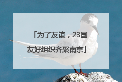 为了友谊，23国友好组织齐聚南京
