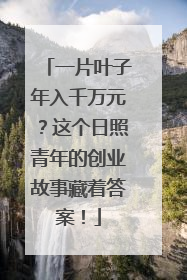 一片叶子年入千万元？这个日照青年的创业故事藏着答案！