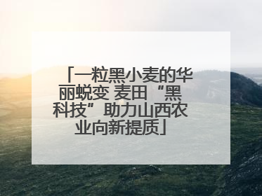 一粒黑小麦的华丽蜕变 麦田“黑科技”助力山西农业向新提质