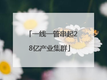 一线一管串起28亿产业集群