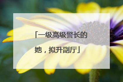 一级高级警长的她，拟升副厅