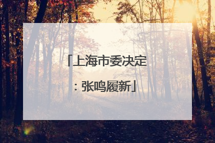 上海市委决定：张鸣履新