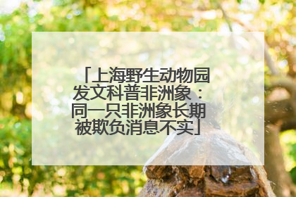 上海野生动物园发文科普非洲象：同一只非洲象长期被欺负消息不实