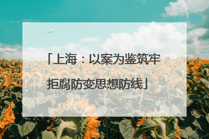 上海：以案为鉴筑牢拒腐防变思想防线