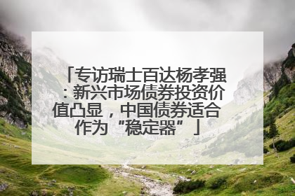 专访瑞士百达杨孝强：新兴市场债券投资价值凸显，中国债券适合作为“稳定器”