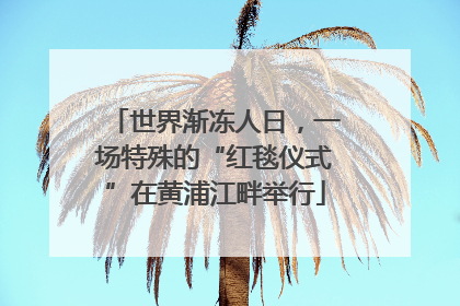 世界渐冻人日，一场特殊的“红毯仪式”在黄浦江畔举行