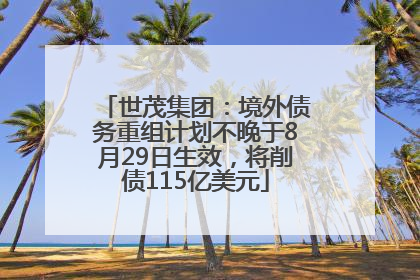 世茂集团：境外债务重组计划不晚于8月29日生效，将削债115亿美元