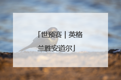 世预赛｜英格兰胜安道尔