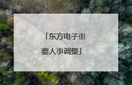 东方电子重要人事调整